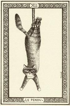 le pendu cat tarot